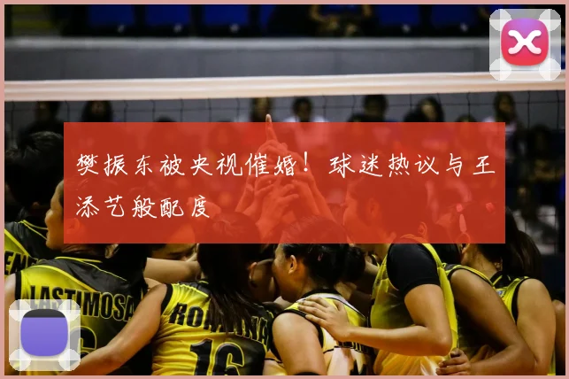 樊振东被央视催婚!球迷热议与王添艺般配度